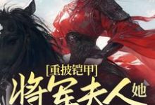 求重披铠甲,将军夫人她英姿飒爽小说免费资源-干果文学