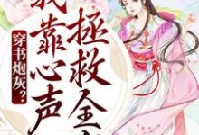穿书炮灰?我靠心声拯救全家这本小说在哪里可以看?哪里有免费试读章节?-干果文学