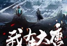 完结版《我在大唐做土司》章节阅读-干果文学