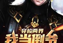 穿梭两界,我当倒爷发家致富这本小说怎么样?免费在线阅读试试-干果文学