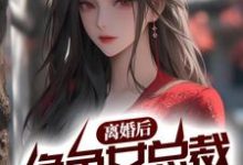 哪里能找到离婚后,绝色女总裁悔不当初小说的全部章节?-干果文学