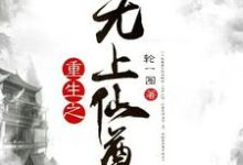 重生之无上仙尊陈凌霓裳小说免费阅读-干果文学