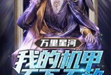 项鼎为主角的小说万里星河:我的机甲天下无敌在线阅读-干果文学
