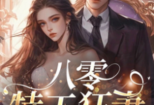 已完结小说《八零特工狂妻:大少跪下唱征服》章节在线阅读-干果文学