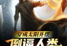 已完结小说《穿成太阳开摆,倒逼人类逃离太阳系》章节在线阅读-干果文学