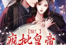 惊!疯批皇帝对我图谋不轨小说有没有完整的免费版本在线阅读?-干果文学