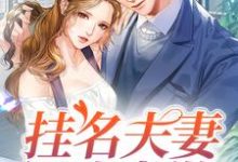 小说《挂名夫妻假戏真做》在线章节阅读-干果文学