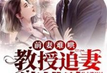 前妻难哄:教授追妻请排队章节免费在线阅读,姜予念江叙完结版-干果文学