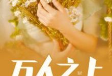主角叶宁林语晗小说万人之上免费阅读-干果文学