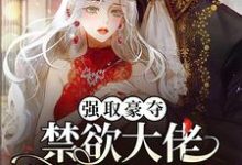 完结版《强取豪夺:禁欲大佬独宠我一人》免费阅读-干果文学