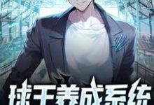 苏魏的完整故事在哪里?读球王养成系统:我吊打梅西小说-干果文学