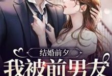 薄寒深曲南枝是哪本书的主角?寻找结婚前夕,我被前男友带走了免费阅读-干果文学