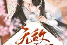 在线寻找赵佖木婉清的小说,无敌小王爷免费阅读-干果文学