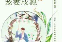 小说《顾少宠妻成瘾》章节阅读-干果文学
