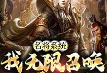 刘阿斗关凤的故事在哪本书里?免费阅读名将系统:我无限召唤称霸三国-干果文学