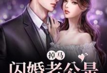 小说《掉马!闪婚老公是她顶级上司》章节阅读-干果文学