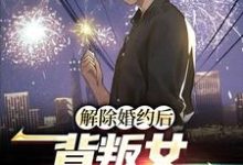 解除婚约后,背叛女她后悔了小说全文阅读需要付费吗?寻找免费资源-干果文学