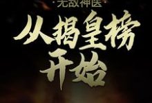 求无敌神医:从揭皇榜开始小说的全文免费阅读链接-干果文学
