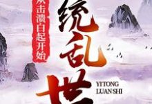 小说《一统乱世:从击溃白起开始》在线章节阅读-干果文学