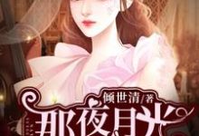那夜月光如初雪小说,那夜月光如初雪最新章节-干果文学