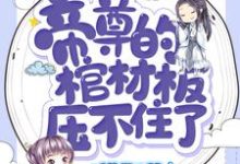 小说《帝尊的棺材板压不住了》在线章节阅读-干果文学