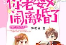 完结版《盛总,你老婆又闹离婚了》章节阅读-干果文学
