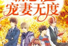 完结版《一见钟情:霸总他宠妻无度》章节目录在线阅读-干果文学