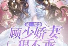 夏柠顾林城陈团团的小说在哪里看?免费在线阅读第一婚宠:顾少娇妻狠不乖-干果文学