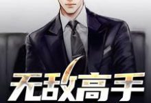 无敌高手在都市小说,无敌高手在都市在线阅读-干果文学