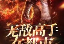 主角叫林宇阳刘圆圆的小说在哪阅读-干果文学