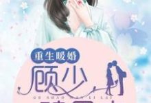 重生暖婚:顾少,碗里来最新章节,重生暖婚:顾少,碗里来免费阅读-干果文学
