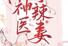 已完结小说《神医小辣妻》章节免费阅读-干果文学