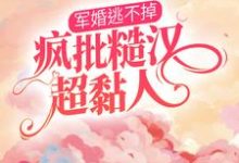 完结版《军婚逃不掉,疯批糙汉超黏人》章节阅读-干果文学