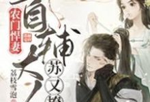 主角叫宋昭奚季长风的小说在哪阅读-干果文学