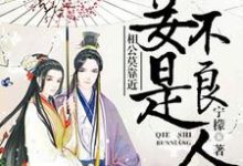 完结版《相公莫靠近,妾是不良人》免费阅读-干果文学