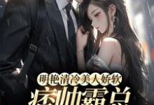 许莓柯聿淮是哪本书的主角?明艳清冷美人娇软,痞帅霸总他超爱免费读-干果文学