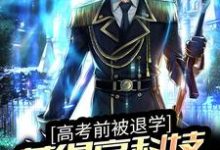 林海李慕儿为主角的小说叫什么?免费看高考前被退学,获得高科技武器图纸-干果文学