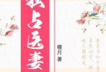独占医妻小说的所有章节都能在哪里免费读到?-干果文学