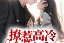 主角叫宁枳周衡的小说在哪阅读-干果文学