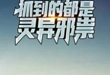男女主人公陈子夜小说我积极报案,抓到的都是灵异邪祟章节免费阅读-干果文学