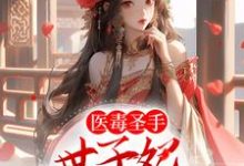 哪里能找到医毒圣手:世子妃举世无双小说的最新更新和免费章节?-干果文学