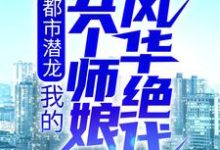 免费看都市潜龙:我的五个师娘风华绝代小说的网站有哪些?-干果文学