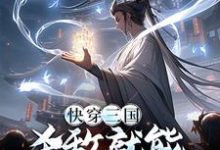 曹武小说在线章节免费阅读(快穿三国:杀敌就能捡取属性无弹窗无删减)-干果文学