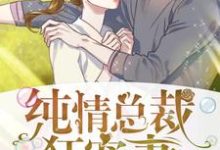 纯情总裁狂宠妻小说有没有完整的免费版本在线阅读?-干果文学