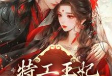 特工王妃:王爷,请自重!小说有没有完整的免费版本在线阅读?-干果文学