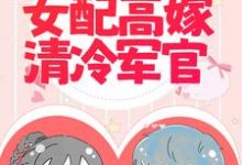 宋温然沈南征为主角的小说好看吗?求军婚撩人:倒霉女配高嫁清冷军官免费试读-干果文学