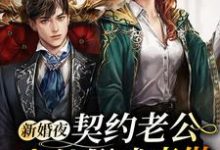 傅穹沈宁小说在线章节免费阅读(新婚夜,契约老公竟然假戏真做无弹窗无删减)-干果文学
