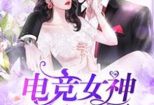 求推荐可以免费阅读电竞女神又A又飒小说的网站-干果文学