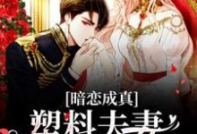 免费看暗恋成真:塑料夫妻假戏真做小说的网站有哪些?-干果文学