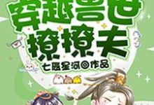 穿越兽世撩撩夫小说的免费阅读版本在哪里可以找到?-干果文学